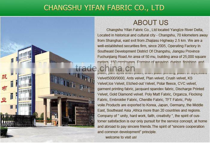 2016 Fashionable design 100% polyester Flannel printing blanket fabric