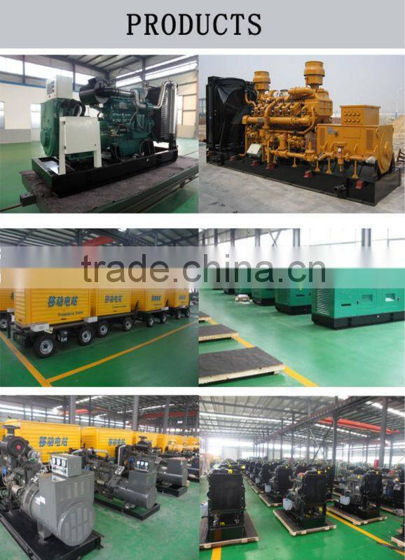 CE Approved industrial gas genset for sale!