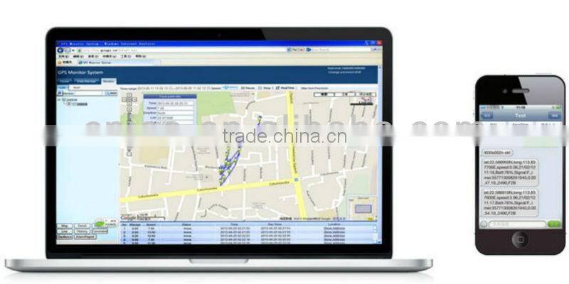 Global Smallest Chip GPS Tracking Animals Cats with Long Battery Alarm System and Pet Collar GPS Chips