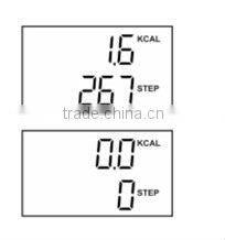 sportline pedometer/FM radio