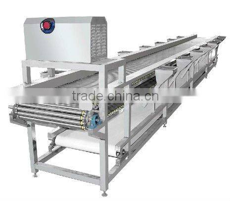 Two-Layer picking Conveyor