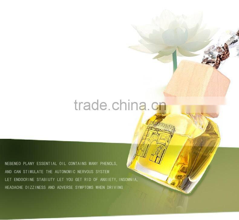 Hot wholesale hanging bottle car air freshener, vegetable oil, aroma liquid hanging car perfume bottle