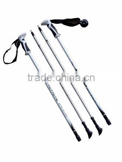 walking stick handles