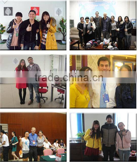 High Quality 100% Cotton Pullover Men Grey Hoodies