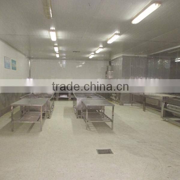 Sea spanish mackerel fish from china