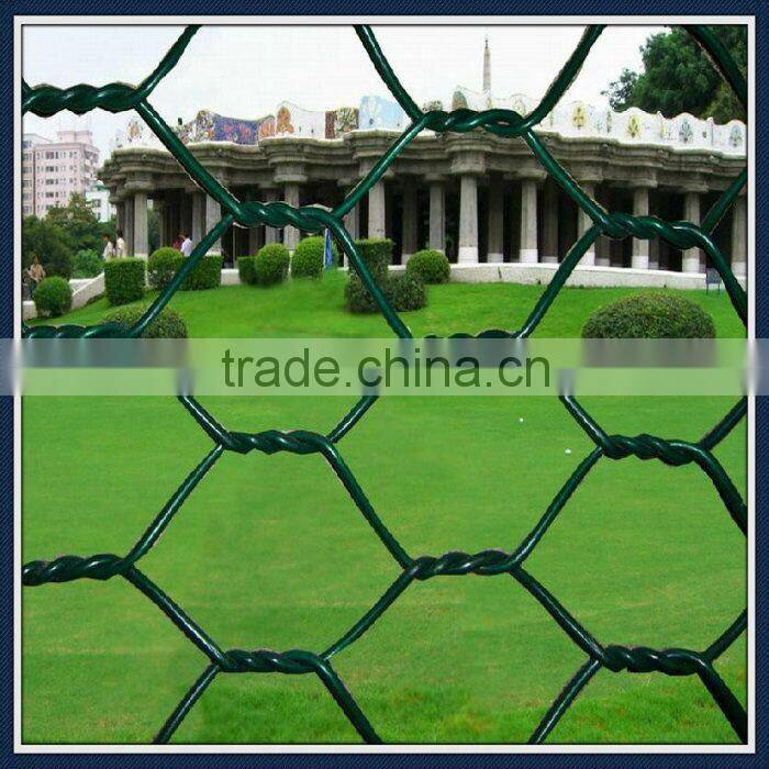 China cheap Stainless Steel Hexagonal Wire Netting/ fence netting/ woven mesh/ animal catching nets