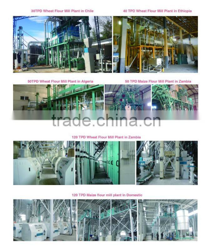 500 ton per day turn flour mill production line