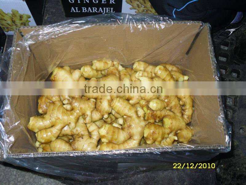 chinese high quality dried ginger for sale