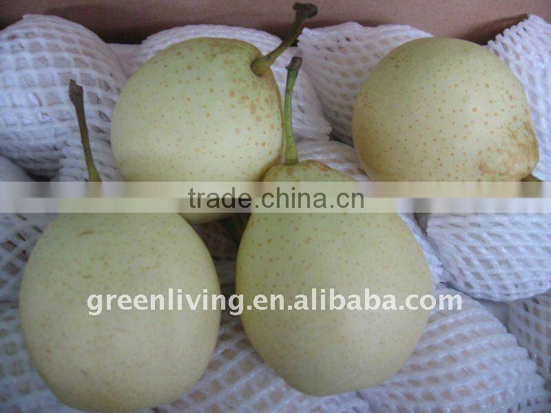 2011 best quality and lowest price ya pear (from china)
