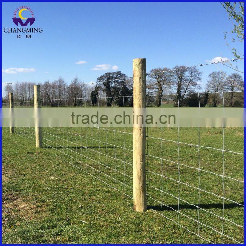 Bitumen Painted Green Color Studded T Post