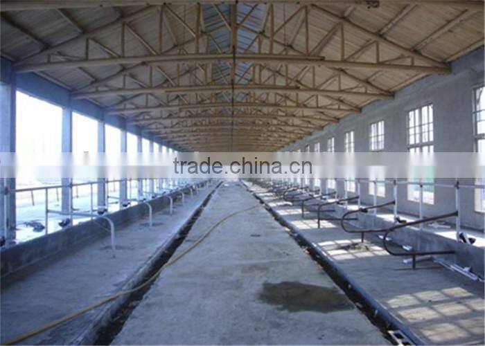 Dairy Cows Pipeline Milking Machine System