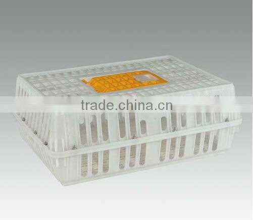Poultry chicken transport crate for live/adult chicken