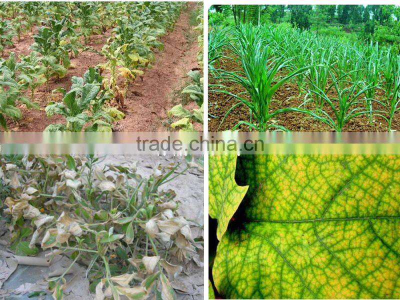 cheaper seaweed organic granular NPK fertilizer