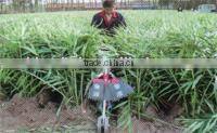 Garden multifunction machine
