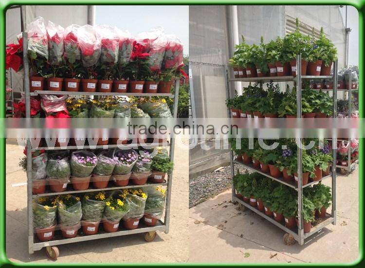 Agrotime flower carts for sale/trolley used in greenhouse