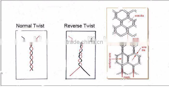 Eco-Friendly galvanized hexagonal mesh welded wire mesh