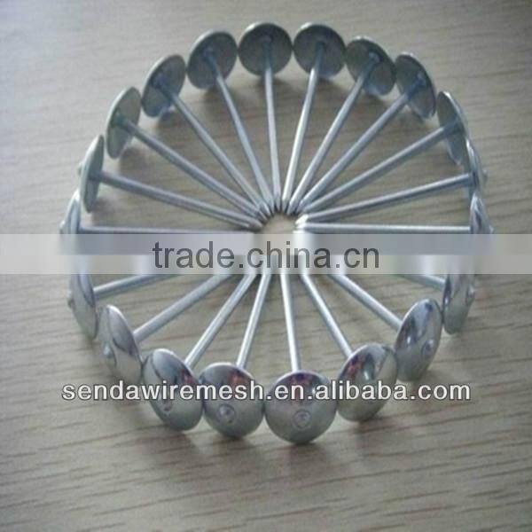 Umbrella head Roofing Nails
