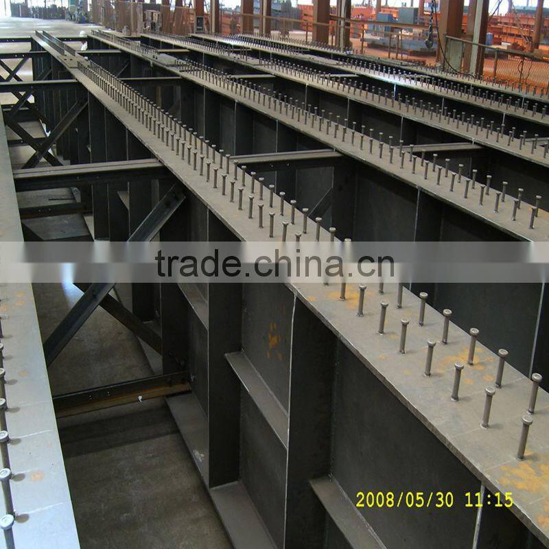 China Honglu Large-Span Pedestrian Bridge