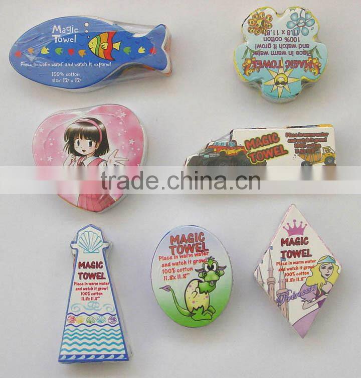 Mini magic towel