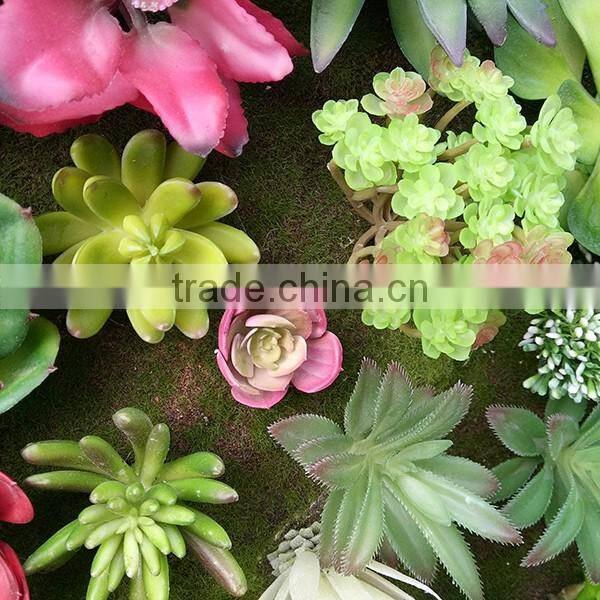 indoor decoration artificial mini succulent plants wall