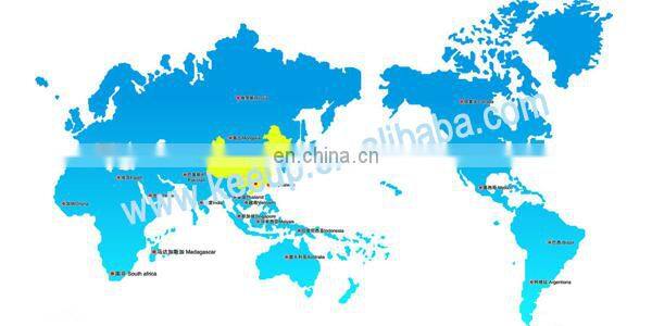 650ml Advertising Logo Printed Plastic Sport Bike Water Bottle