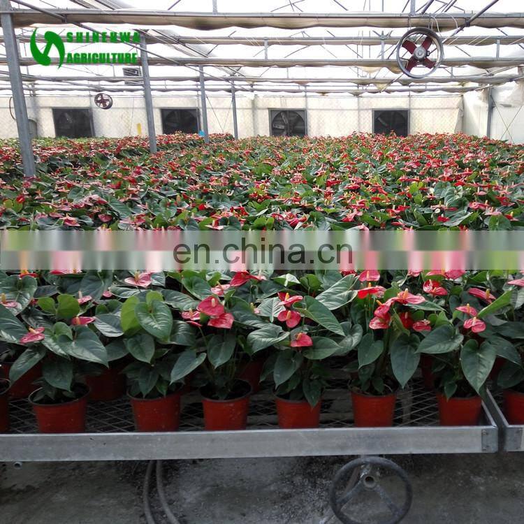 New Galvanized Fence Mesh Wire Netting Seedling Nets For Glass Greenhouse