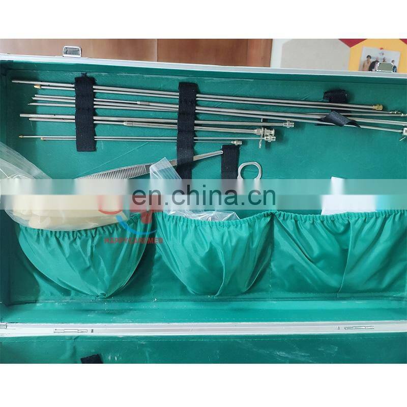 HC-R085 Pig ai gun artificial insemination gun/veterinary instrument of artificial insemination equipment for cattle