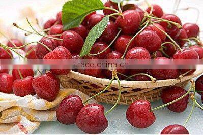 Lifelike Artifical Fruit For Decoration