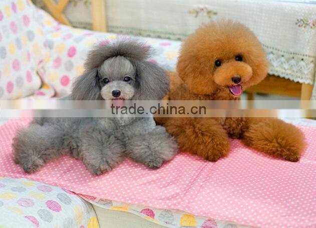 Brand new pet gel mat with high quality