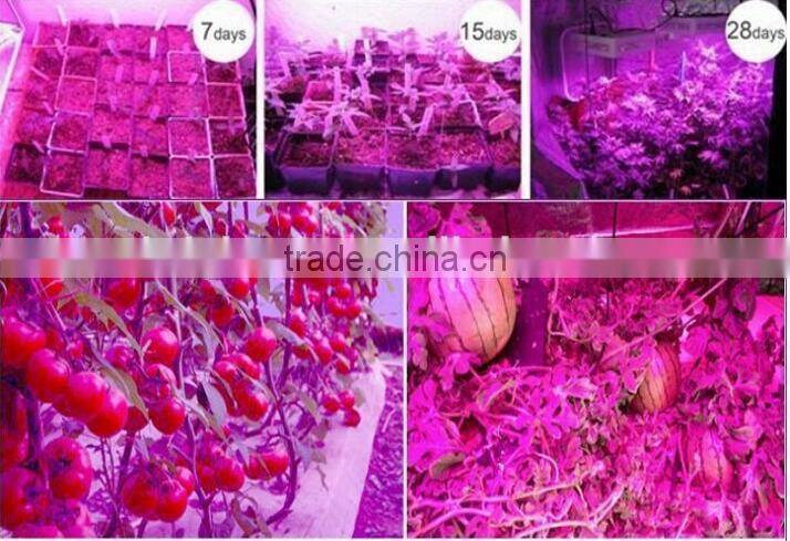 High Quality 5w chip new adjustable E27 cob led grow light