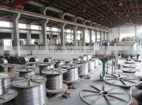 6*19S+NF 8*19S+NF stainless Steel Wire Rope for Elevater 8mm 10mm 12mm