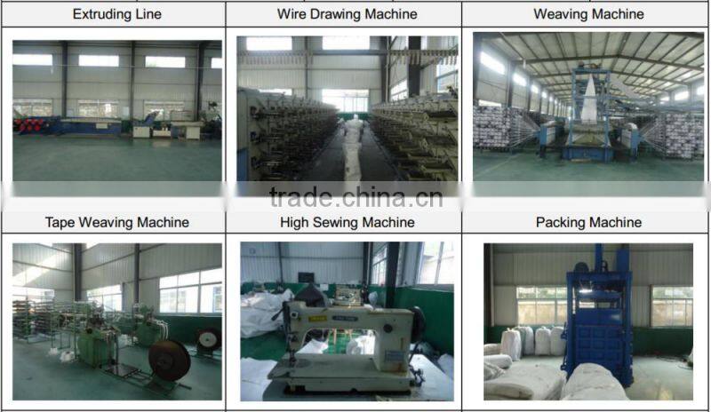 pp woven environmentally friendly shopping bags wholesale for Christmas Ornament