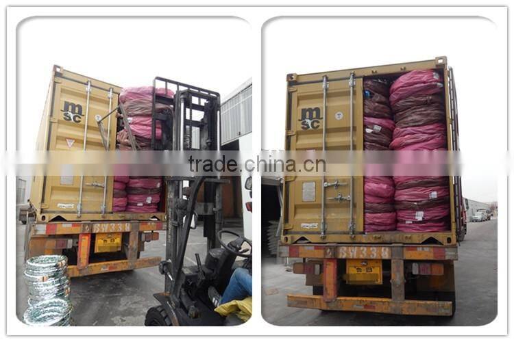 bicycle tire 20 1 3/8 ralighe