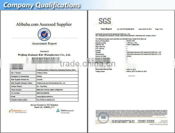 Durable Ripstop Nylon large Inflatable kite