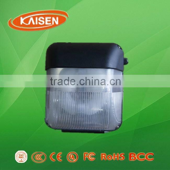 2015 40w jiangsu professional lighting lvd induction lamp wall light