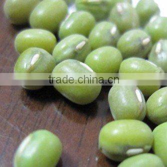 all size Green Mung beans 2010 crop