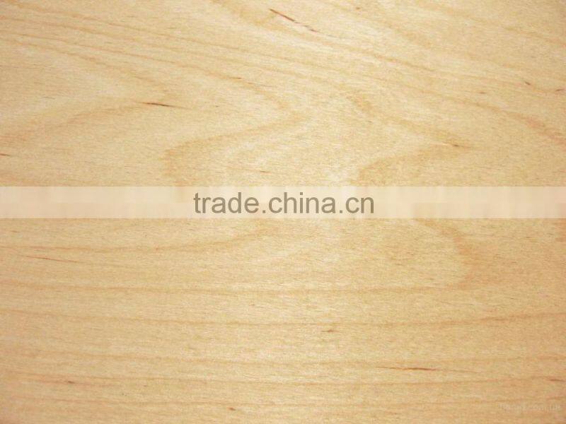 High quality Plywoods from Russia