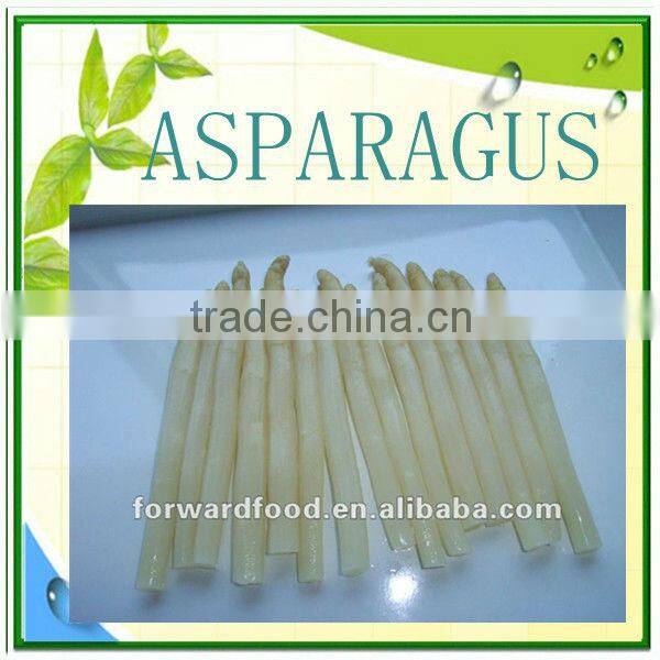 430G Canned White Asparagus Spears