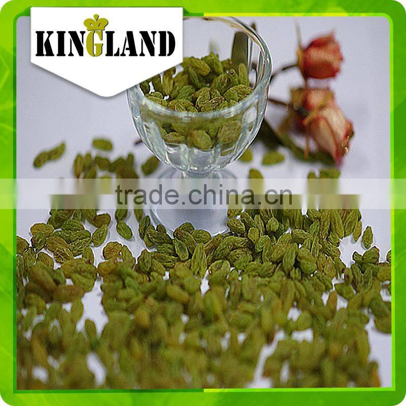 high quality green raisin from China