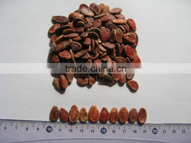 wholesale delicious sunflower seeds