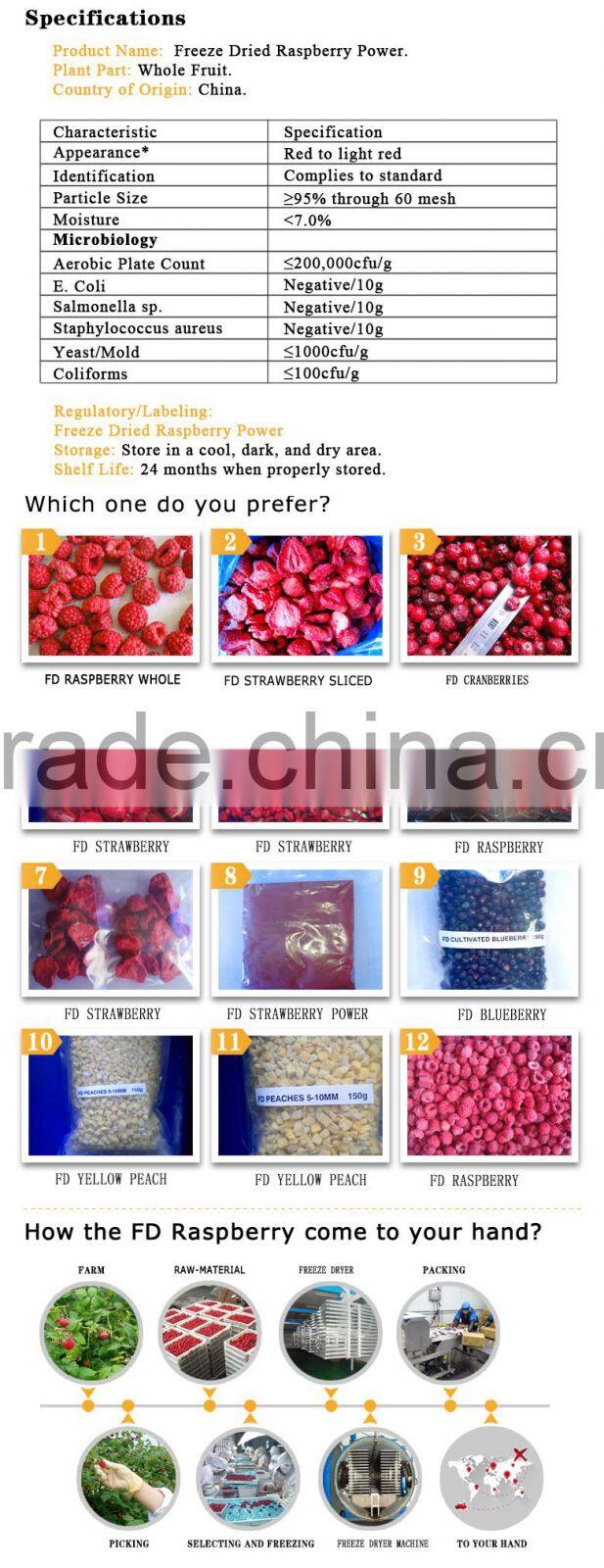 bulk wholesale cheap Dried raspberry fruit powder