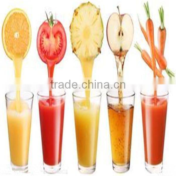 easy-using and best quality commercial apple juicer