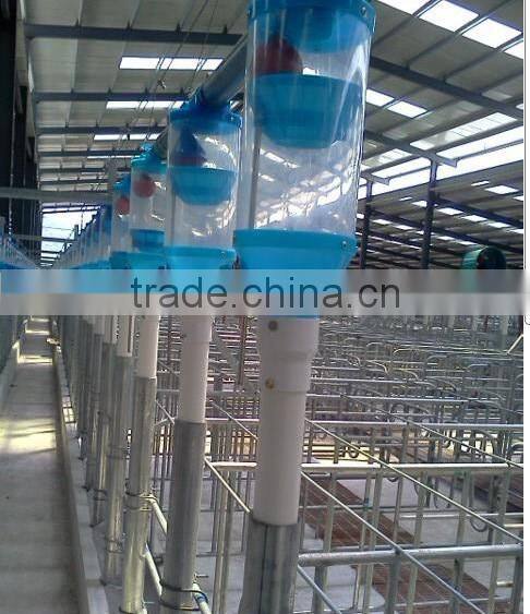 Automatic Pig Feeding system