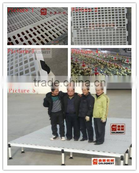poultry automatic feeding and drinking system
