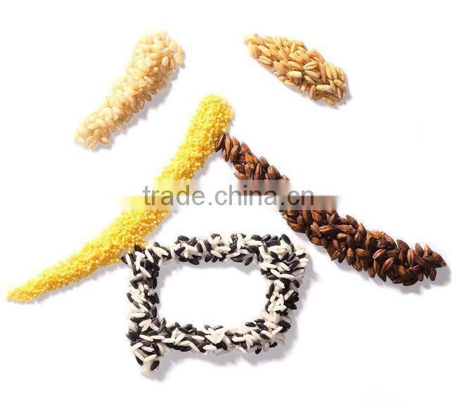 2016 Nice type 100-1000 g Almonds racking packing machine from China factory