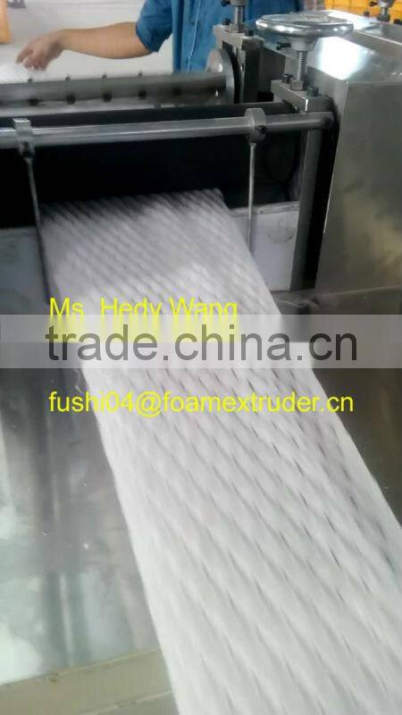 CE & ISO9001 Apple/Guava/Melon/Mango PE Foam Net/Pad Extrusion Machine