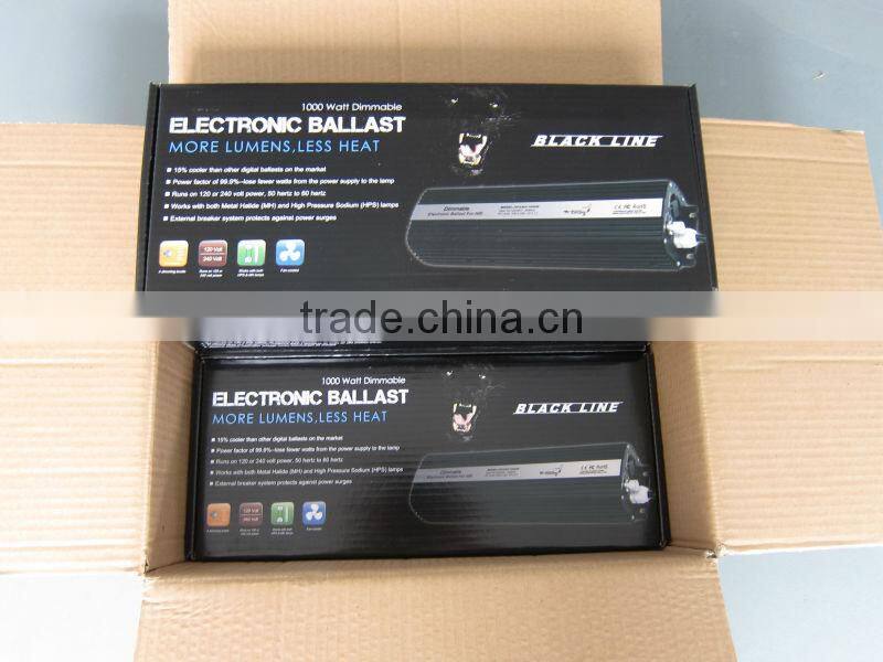 digital hid ballast