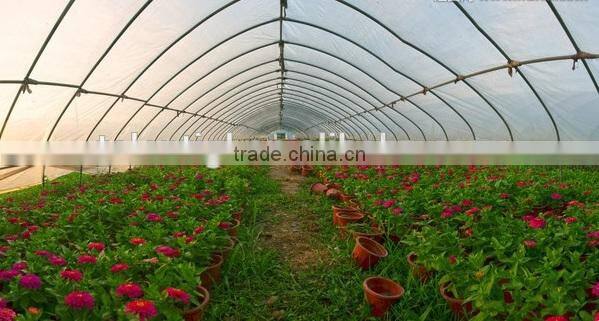 Single span greenhouse film for Seeding nursery