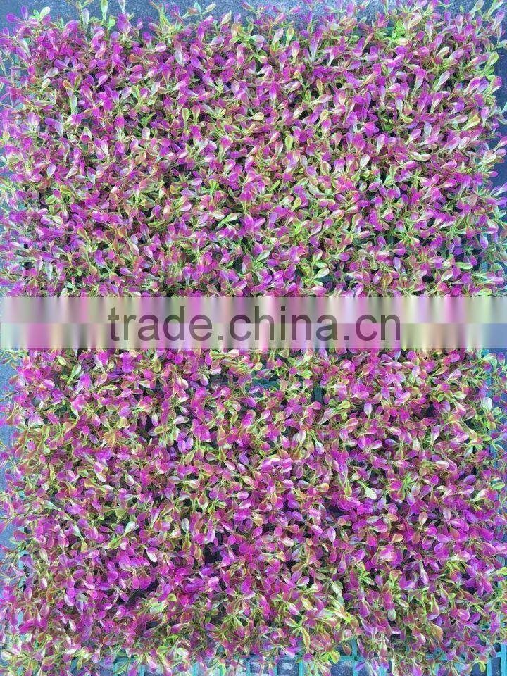 2017newest design artificial mat interior decor color plastic boxwood