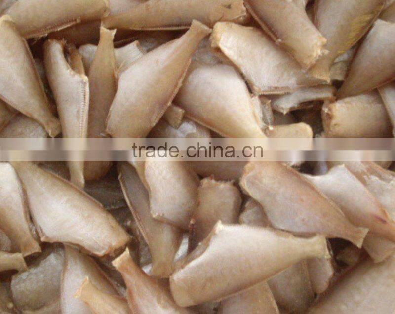 Frozen Leather Jacket Fish